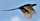 http://kehrl.de/images/nav-fasan.gif