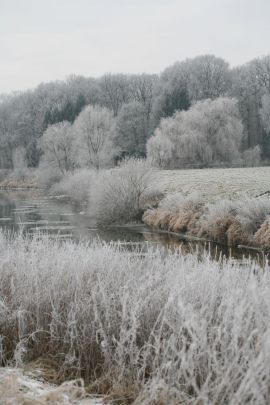 2009-01-03_1418-Bockholt-Ems_web