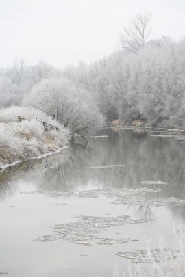 2009-01-03_1426-Bockholt-Ems_web