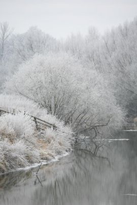 2009-01-03_1427-Bockholt-Ems_web