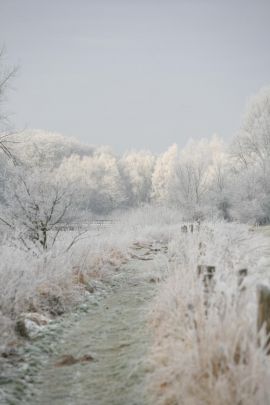 2009-01-03_1442-Bockholt-Ems_web