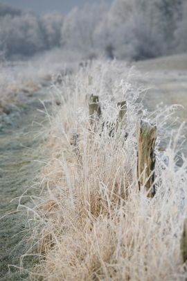 2009-01-03_1446-Bockholt-Ems_web