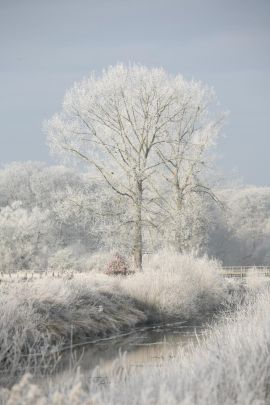 2009-01-03_1453-Bockholt-Ems_web