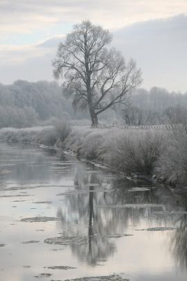 2009-01-03_1462-Bockholt-Ems_web