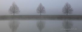 Nebel am Dortmund-Ems-Kanal