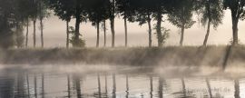 Nebel am Dortmund-Ems-Kanal