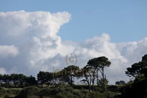 2014-09-24_7010_Pointe-Millier_med