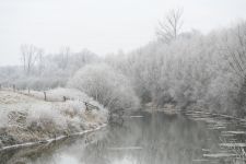 2009-01-03_1425-Bockholt-Ems_web