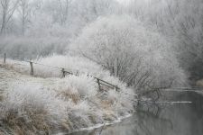 2009-01-03_1429-Bockholt-Ems_web