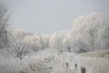 2009-01-03_1443-Bockholt-Ems_web