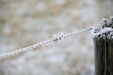 2009-01-03_1448-Bockholt-Ems_web