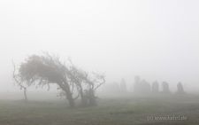 2013-10-08_2756_Bretagne_Alignements-de-Lagatjar_cr_web