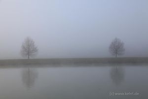 2016-11-26_6227_Bockholt_web