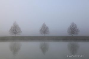 2016-11-26_6231_Bockholt_1_web