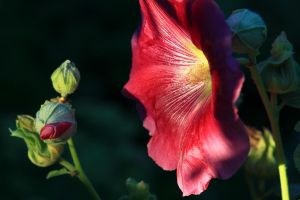 2020-09-02_5433_Bockholt_cr_web