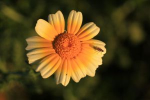 2020-09-02_5490_Bockholt_web