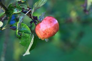 2021-09-28_8980_Bockholt-Kanal_web