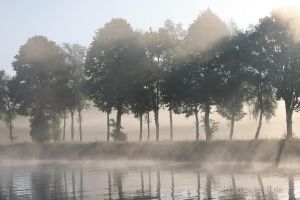 2022-06-02_5038_Bockholt-DEK-Morgennebel_web