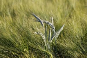 2023-06-03_9046_Bockholt_web