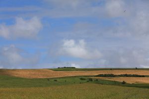 2021-07-06_8366_Wissant_medium