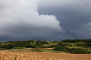 2021-07-11_8468_Wissant_medium