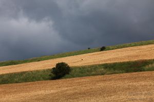 2021-07-11_8519_Wissant_medium