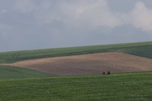 2022-05-07_3163_Wissant-TdF-Vorbereitungen_cr_3000