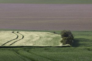 2022-05-08_3567_Wissant-TdF-Vorbereitungen_cr_3000