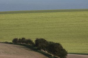 2022-05-08_3575_Wissant-TdF-Vorbereitungen_3000