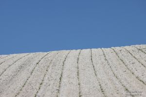 2022-05-08_3586_Wissant-TdF-Vorbereitungen_3000