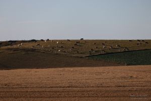 2022-07-01_7480_Wissant-Calais_lr_3000