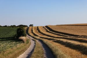 2022-07-08_9193_Wissant-Aermelkanal_lr_3000